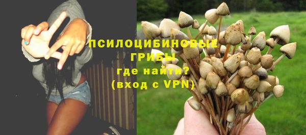 амф Вяземский