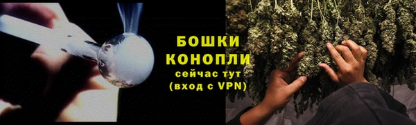 амф Вяземский