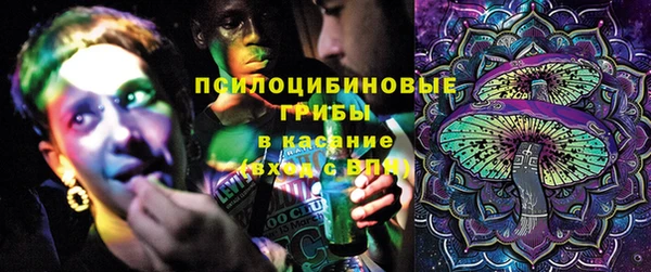 амф Вяземский