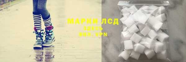 амф Вяземский