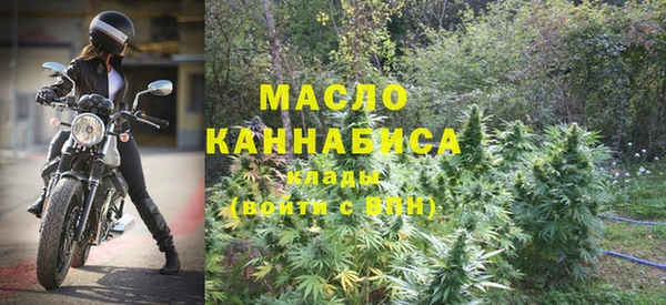 амф Вяземский