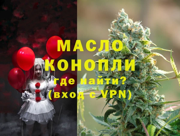 амф Вяземский